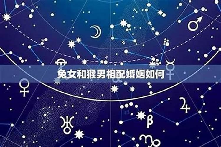 夫妻俩如何使用一台车跑滴滴