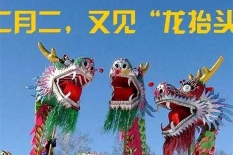 男鸡女龙的属相合不合