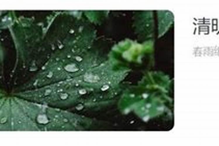 适合清明节朗诵的背景音乐