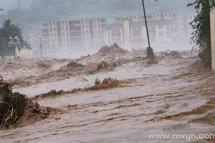 梦见大蛇小蛇满地爬