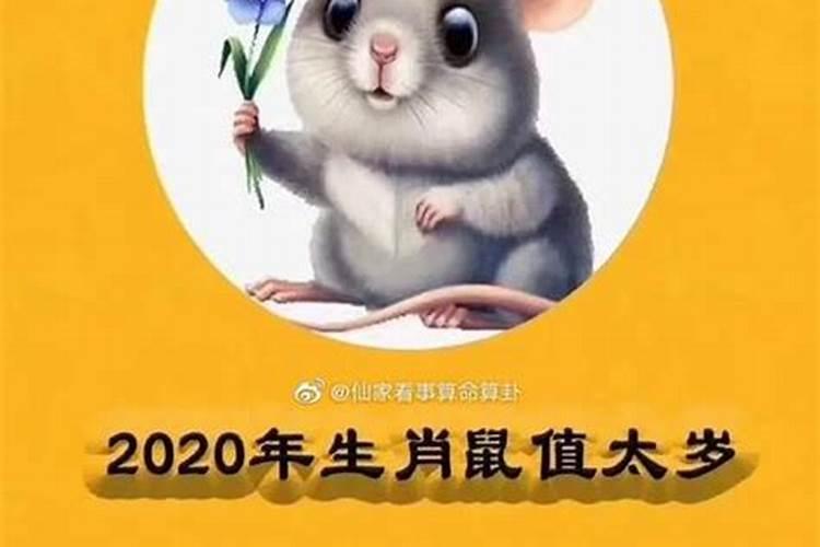 2025属虎人的全年运势如何