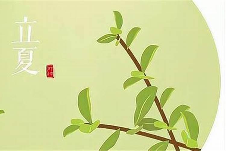 属蛇人2025年运势详解