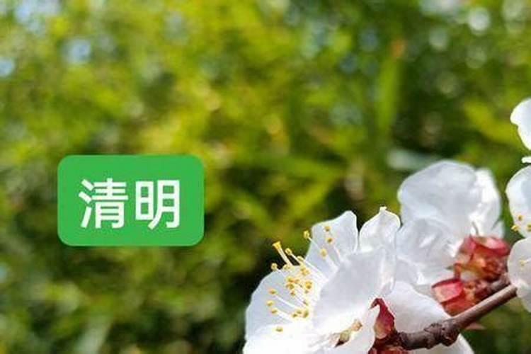 今年清明节几月几日