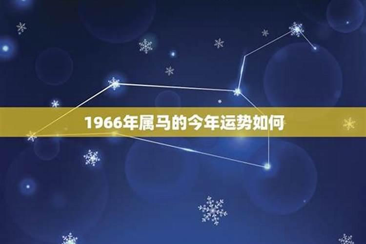 内蒙古赤峰下雪了,这对当地的畜牧业会产生什么影响？