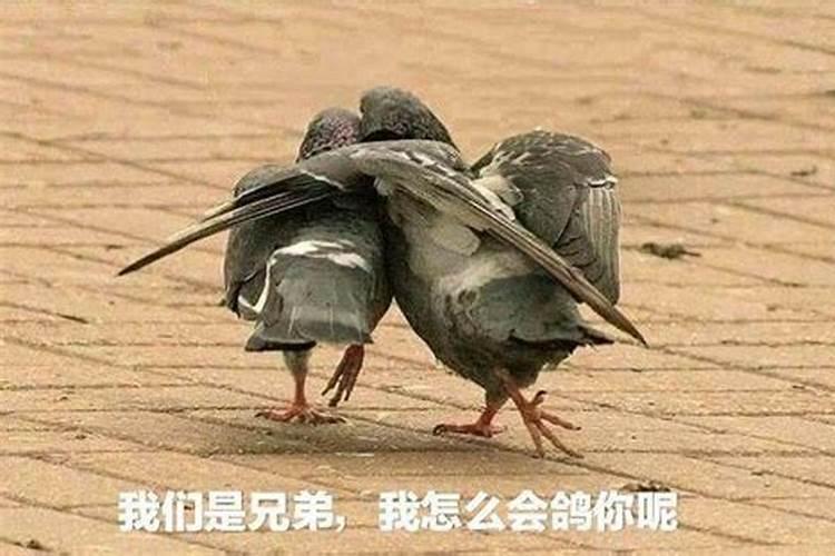 梦见兄弟喜欢我女朋友的预兆