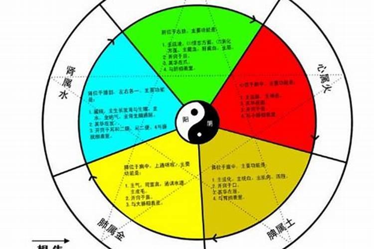 属马25年犯太岁吗