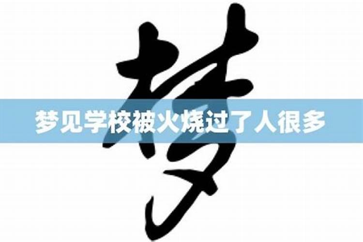 梦见火烧森林后的灰烬是什么意思？