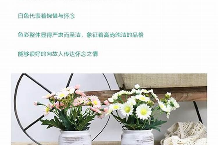 92年属猴在25年蛇年运势如何