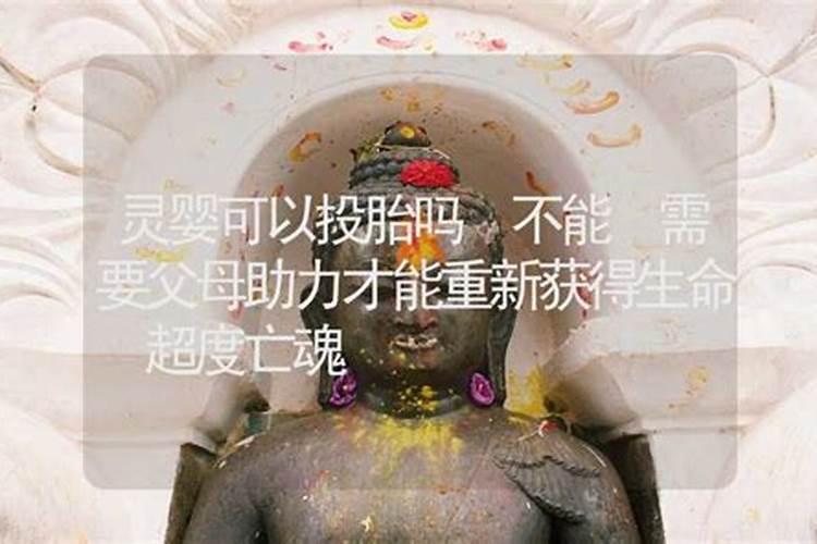 2025年都啥属相犯太岁
