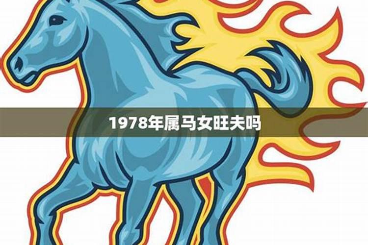 78属马女2025年运势