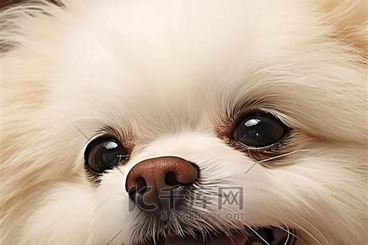 虎年出生的人本命年结婚好不好
