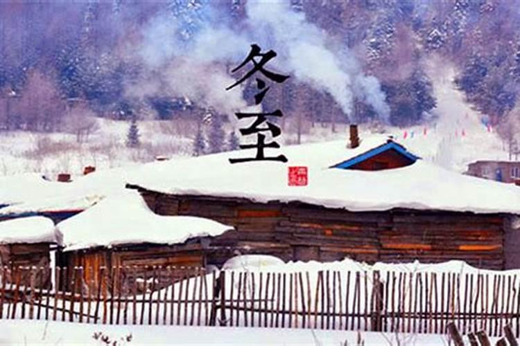 属狗人和属蛇人结婚幸福吗,属蛇适合做夫妻吗