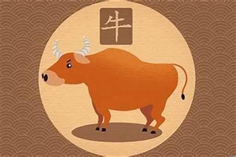 正月初五出生的男命这天出生的男孩命运如何