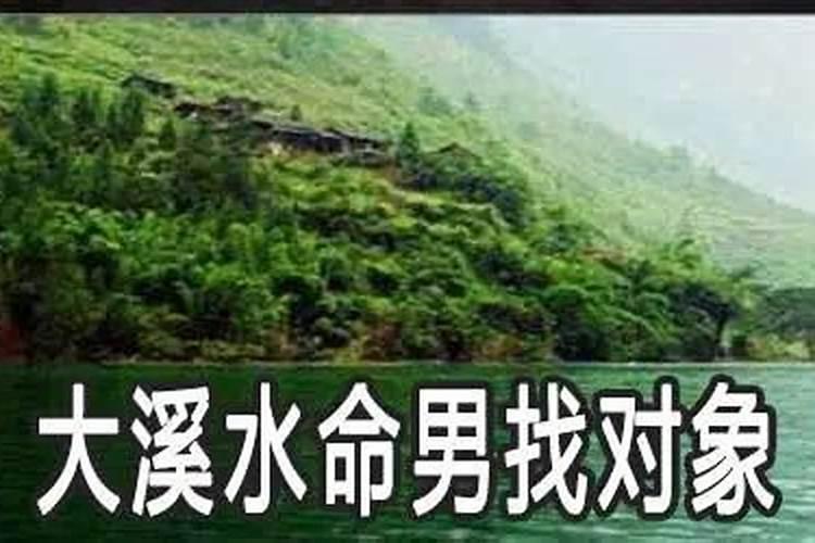 91年农历十月初十的什么命