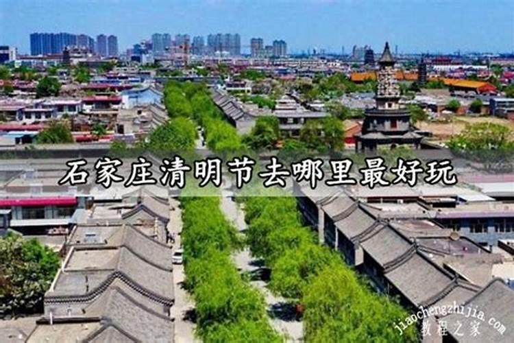 属蛇的处女座女生性格分析认真有思想