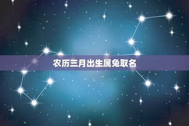 2025年哪些属相犯太岁