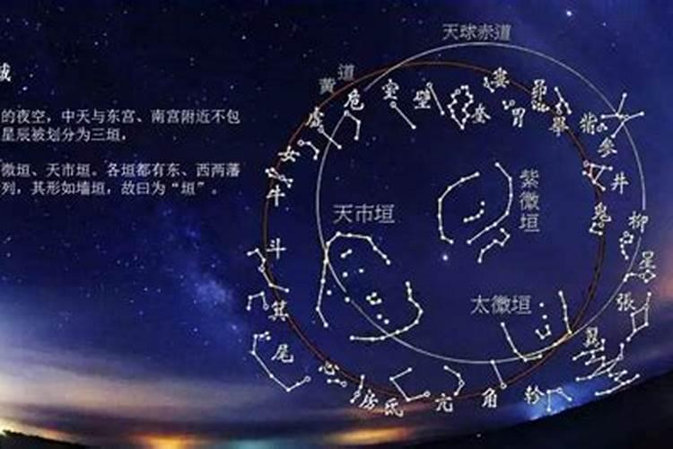 属牛的人晚年谁陪