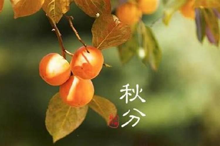 秋分有什么忌讳