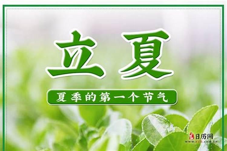 94年正月初五出生的运势怎么样