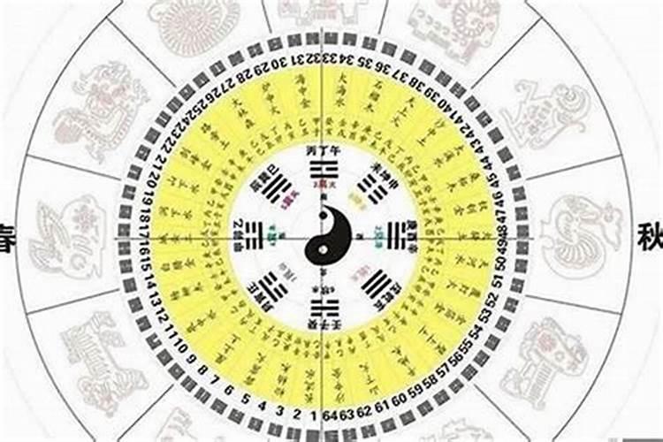 ...女:1981的鸡,是否合？如果要孩子什么属相好,什么属相的不好...