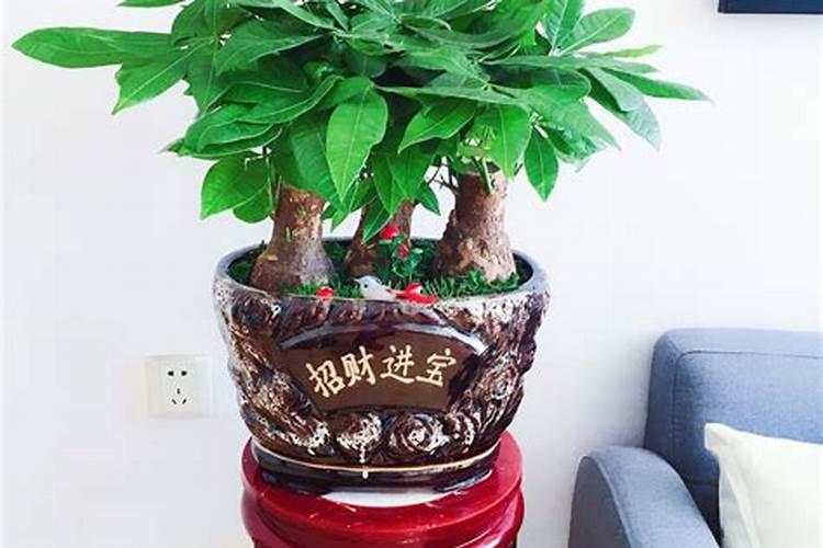 太岁符贴大厅有分方向吗,在家拜太岁最简单的方法