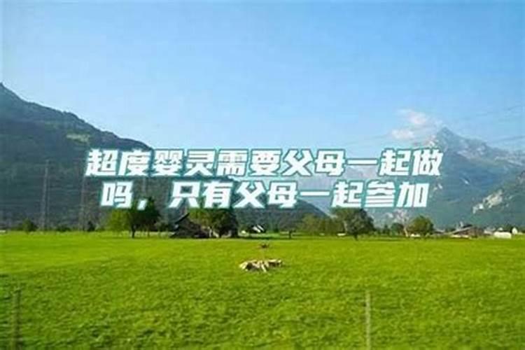 属猴2025年犯太岁吗