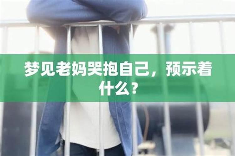 元亨利贞免费八字排盘系统介绍