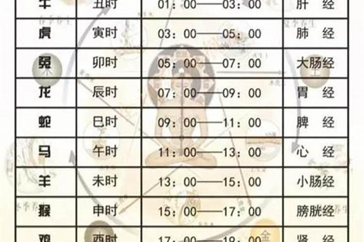 88年龙女2025年感情运势