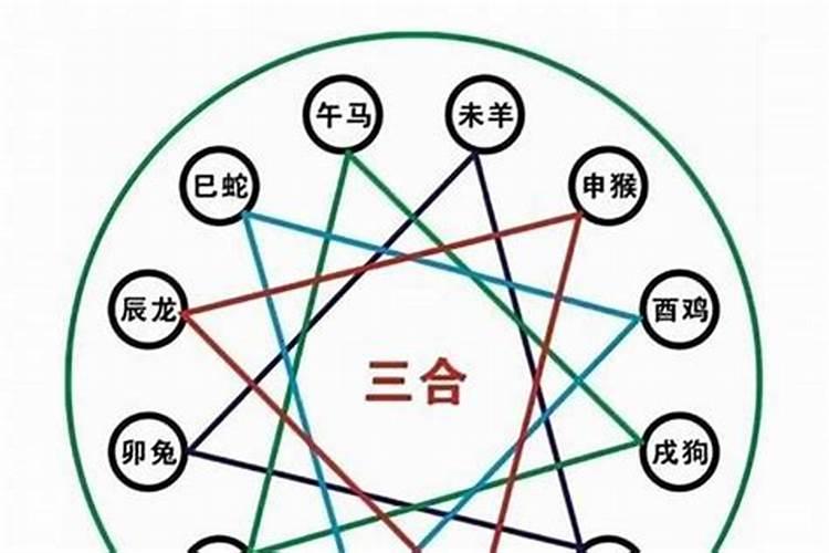 八字中的三合与六合是什么,三合和六个合哪个蕞好