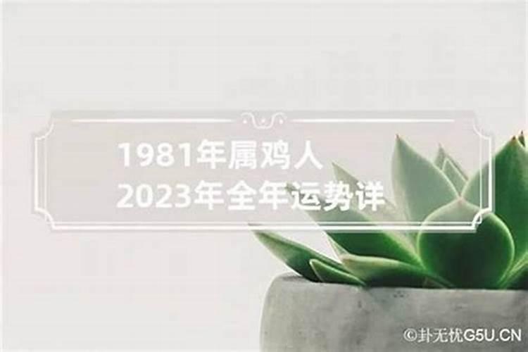 1981年属鸡的2024年运势运程和每月运势