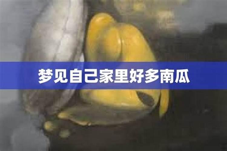 梦见结了好多南瓜的预兆