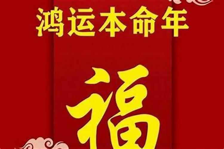 属蛇人2025年运势详解