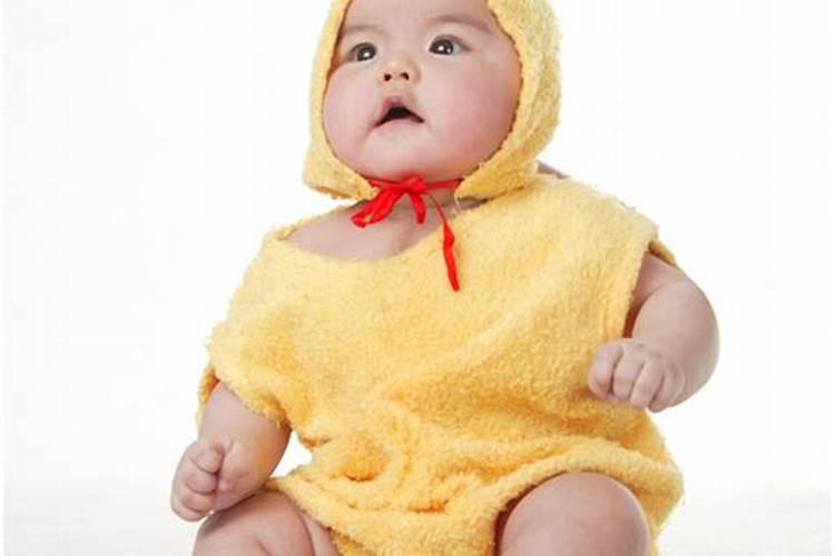 数鸡人2024年的运势孩子2005年出生的运如何的孩子高考运如何百度知 ...