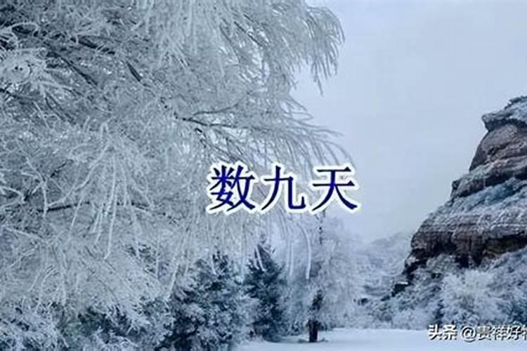 我这一辈子到底是什么命怎么回复