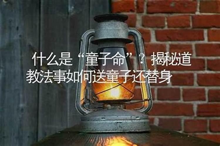 梦见死人和好多狗的预兆