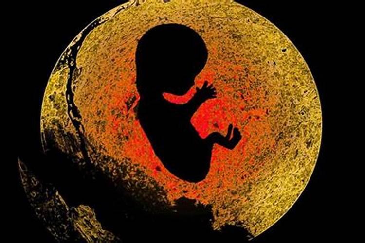 已故的亲人堕入鬼道帮他在寺院供奉往生牌位,帮他放生,还需要供奉三宝吗...