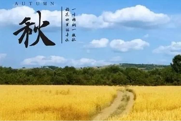立秋之后多久会凉快 立秋后什么时候凉快