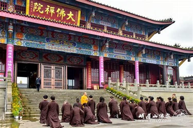 属鸡和属鼠相克吗
