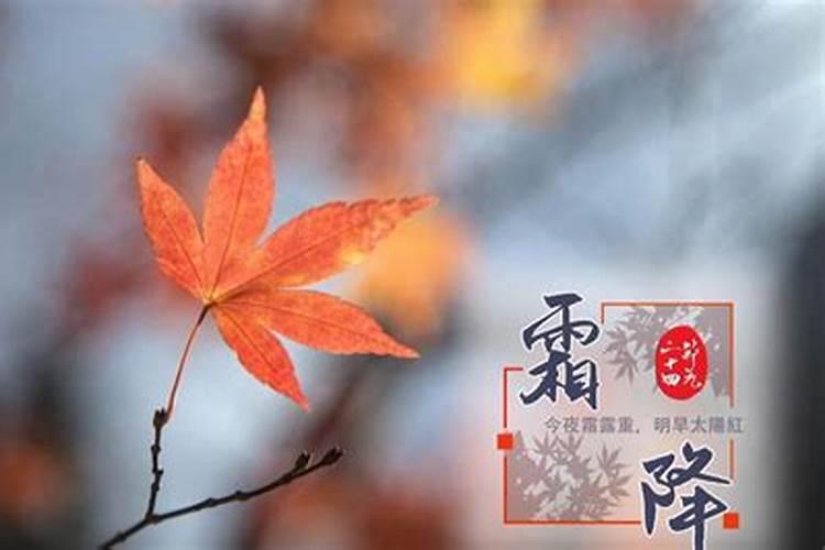 69年9月初10属鸡的一生运势