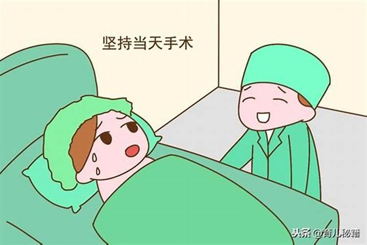 2025属猴是什么命 2025属猴人的运势如何