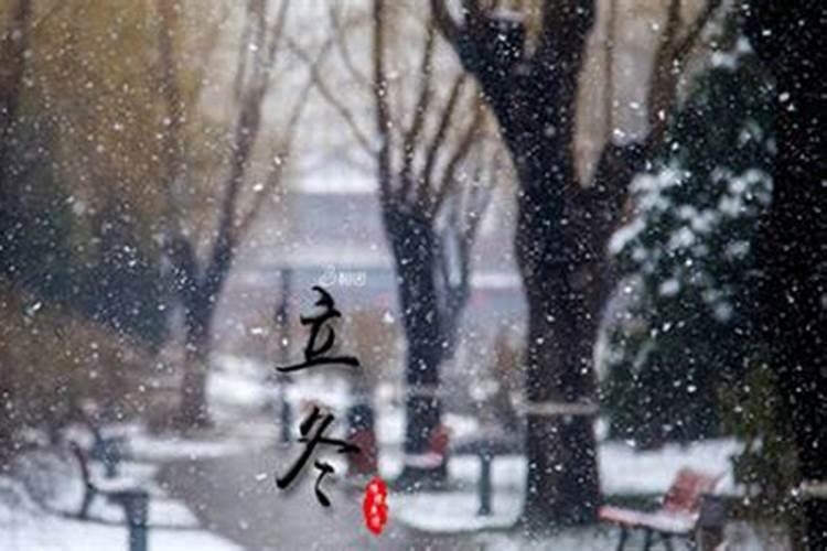 什么八字的女命是尤物,女命极好八字福泽深厚