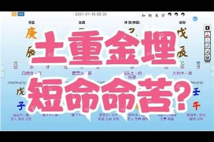 命理短是什么意思？