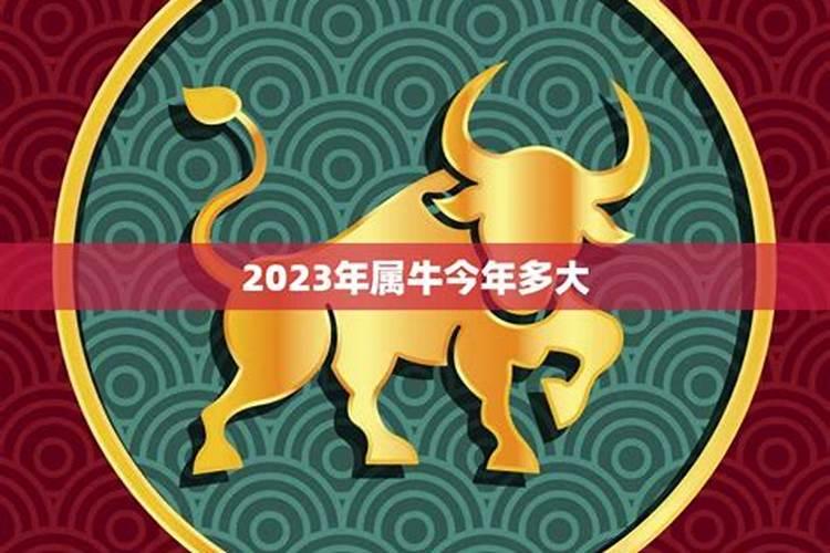 2024年属牛运势及运程 2024属牛每月运势运程