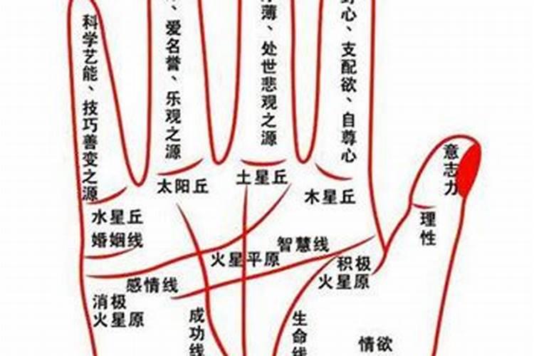手纹看命运怎么看三种命不好的手纹？