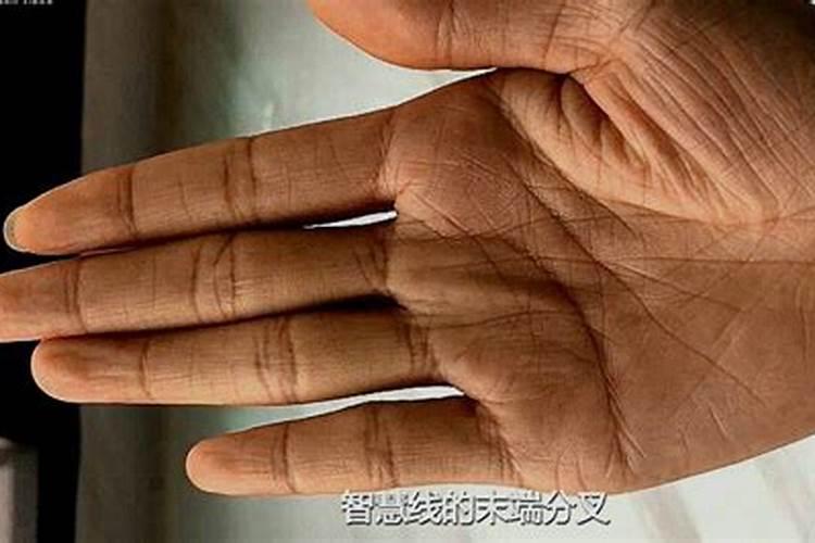如何通过手看出一个人的命运走向？