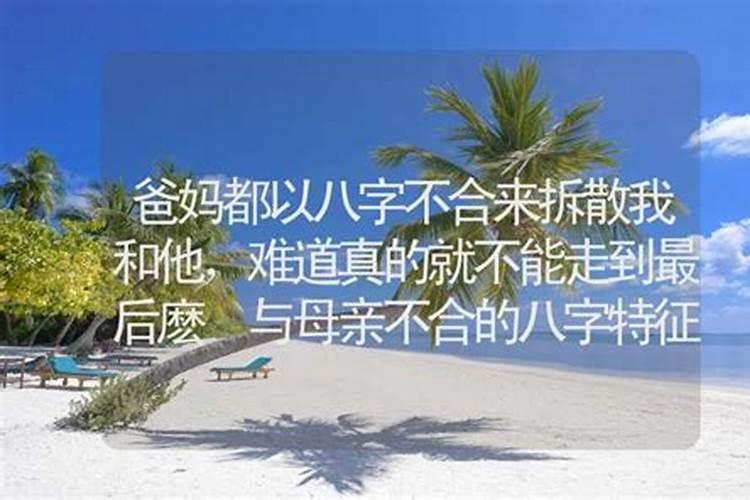 什么软件可以算命看八字的免费