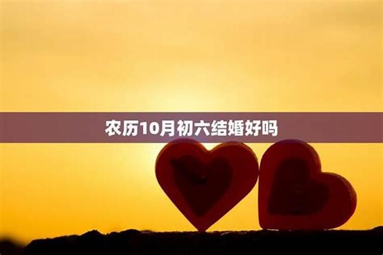 2025年猪1995年运势及运程
