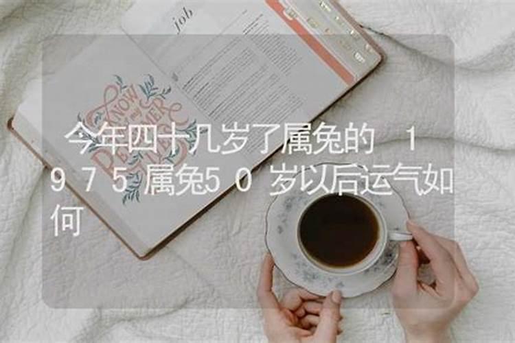 1975年属兔女2024年运势及每月运势如何
