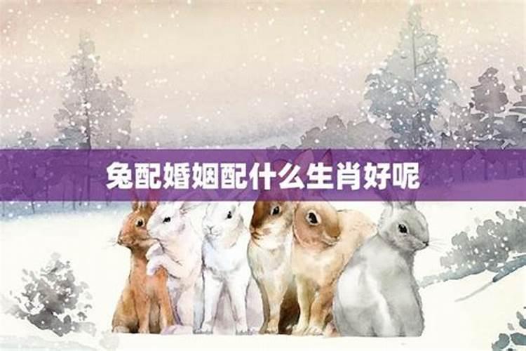 93男鸡和99女兔婚配好吗 如何化解鸡兔相冲？