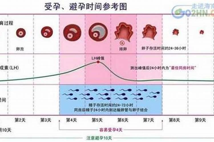 属猴的男人和属兔的女人婚姻 男猴女兔能过一辈子吗